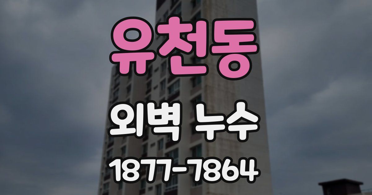 유천동 외벽 누수