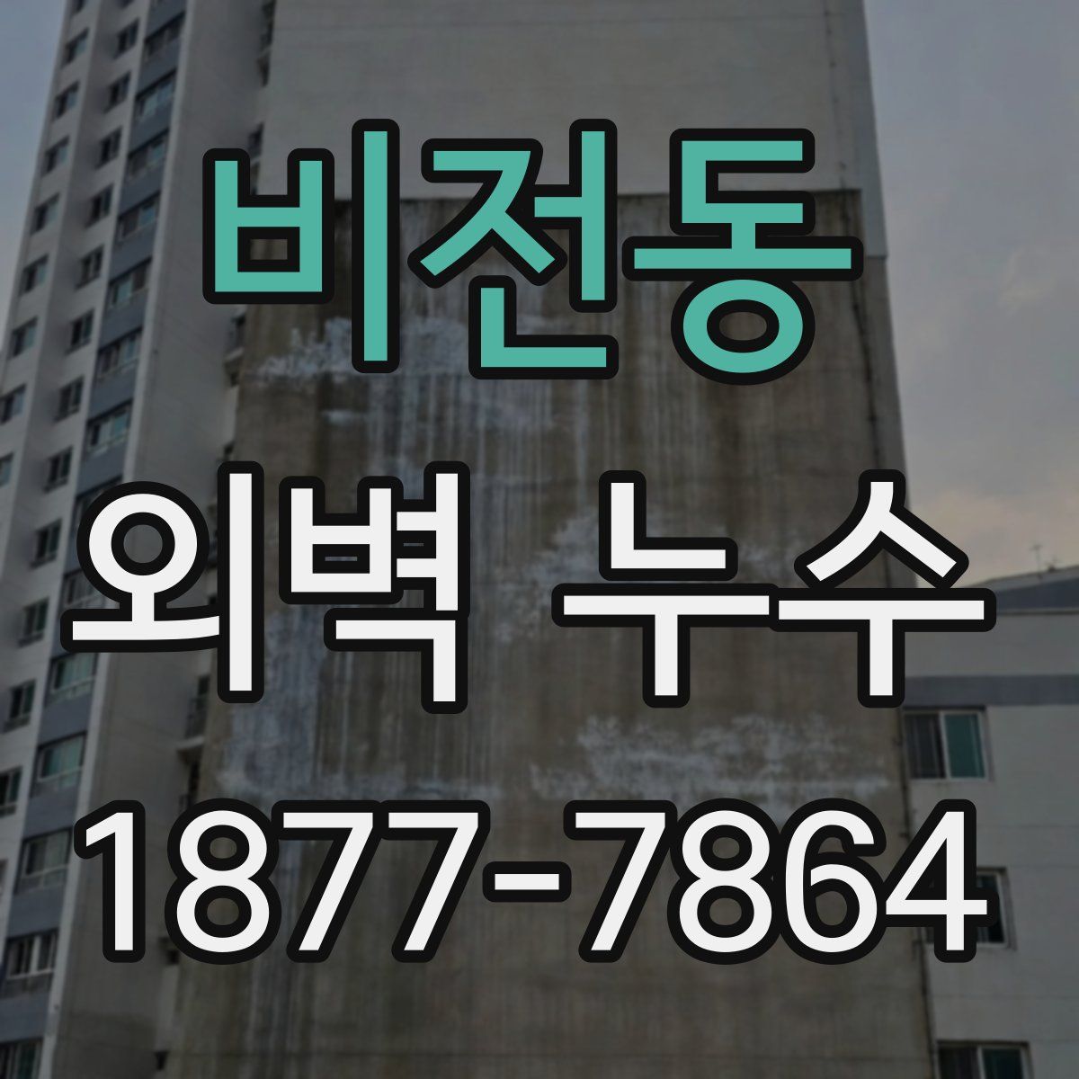 비전동 외벽 누수