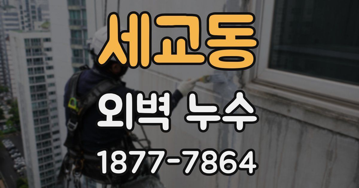 세교동 외벽 누수