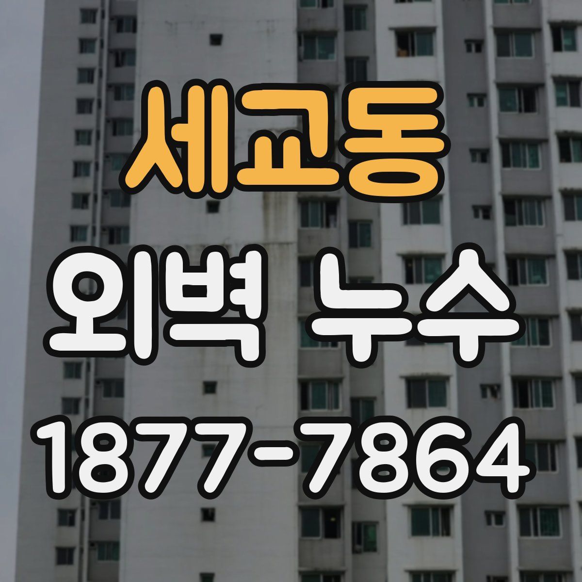세교동 외벽 누수