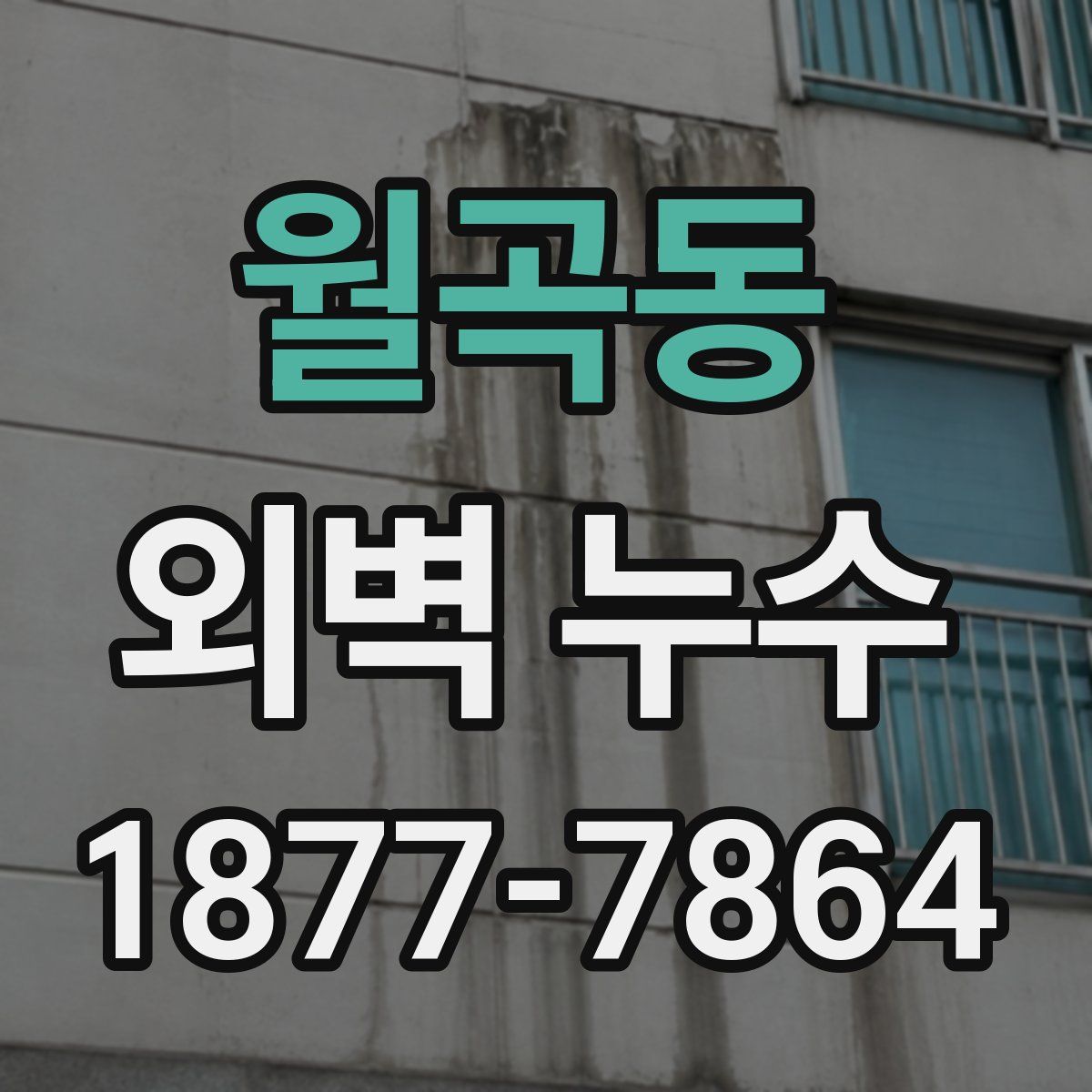 월곡동 외벽 누수