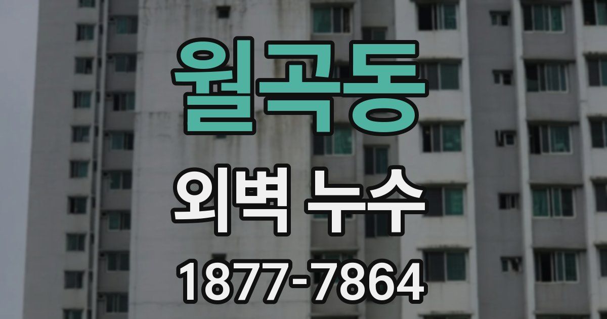 월곡동 외벽 누수