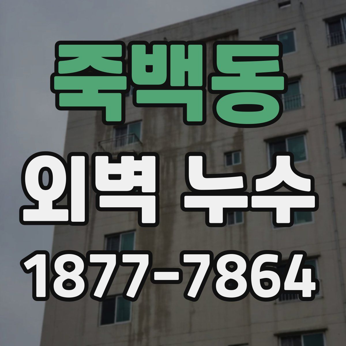 죽백동 외벽 누수