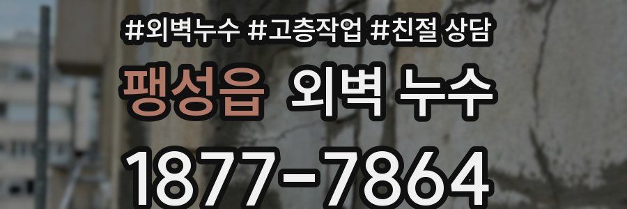 팽성읍 외벽 누수