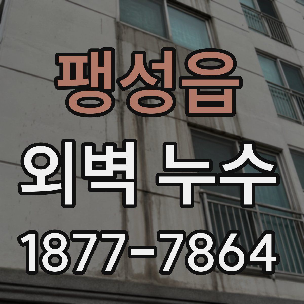 팽성읍 외벽 누수