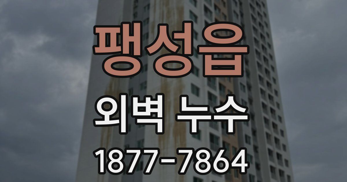 팽성읍 외벽 누수