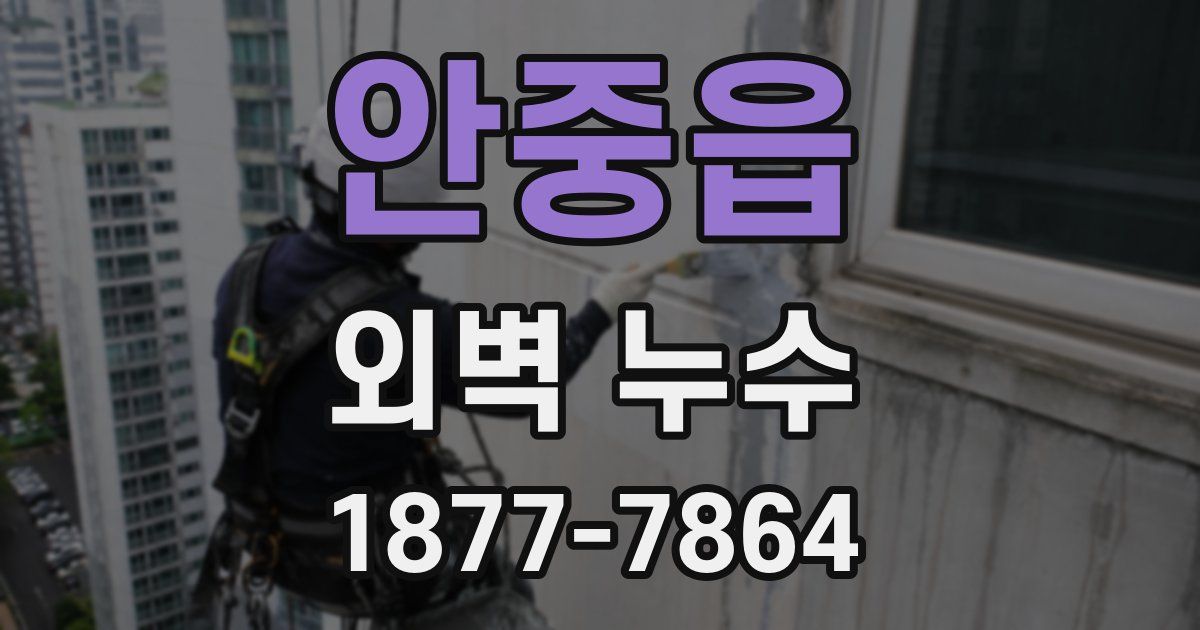 안중읍 외벽 누수