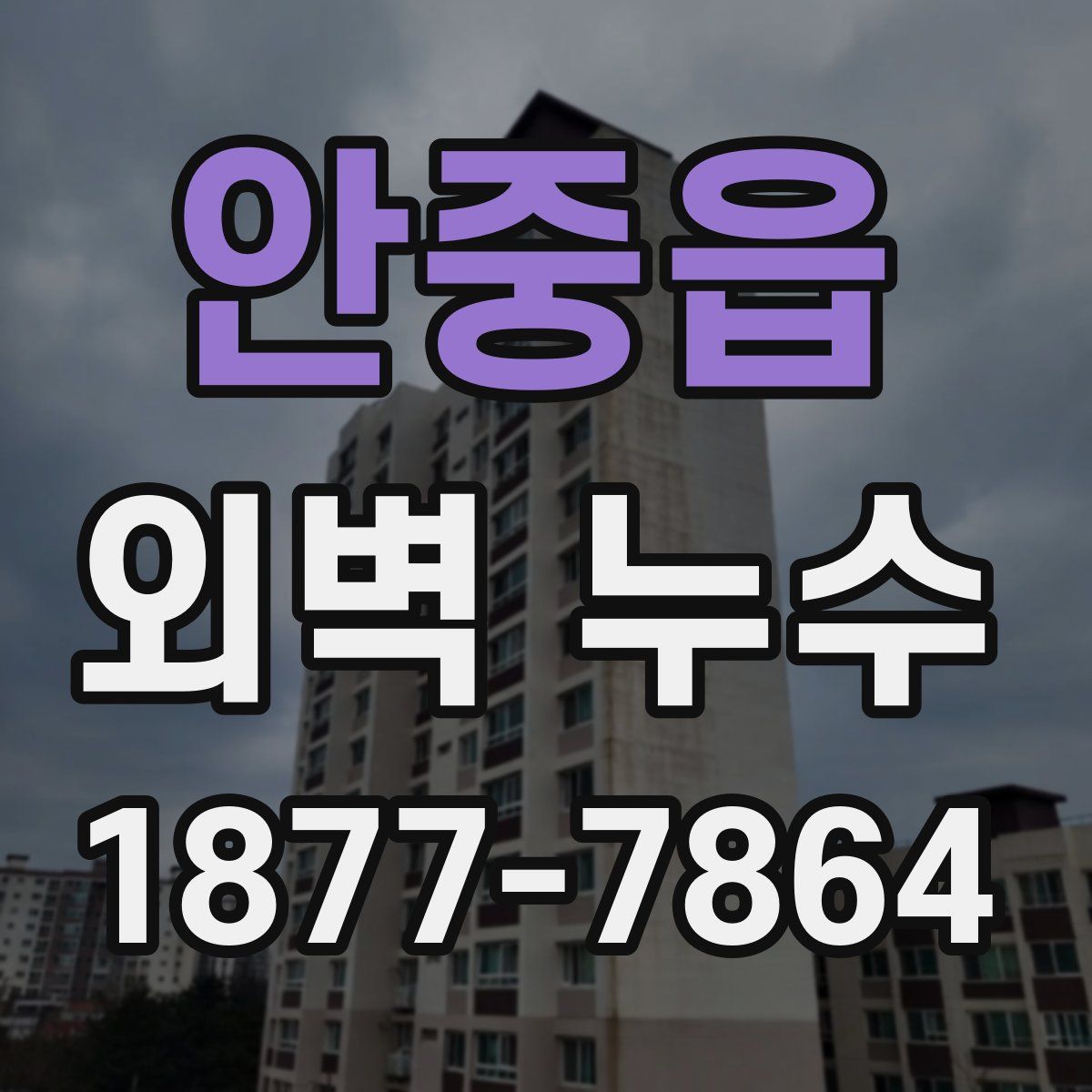 안중읍 외벽 누수