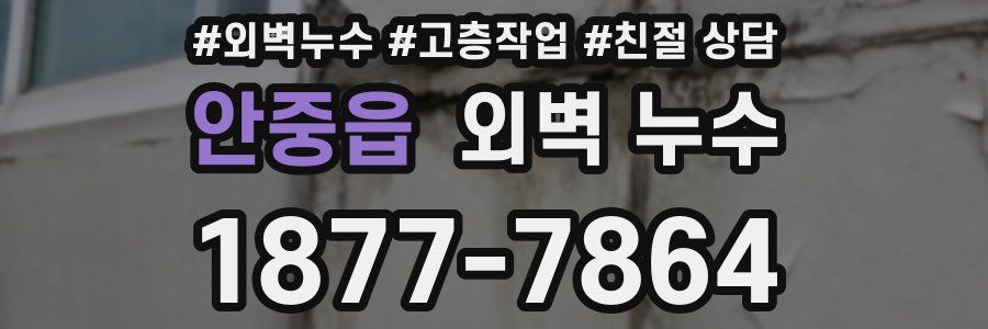 안중읍 외벽 누수