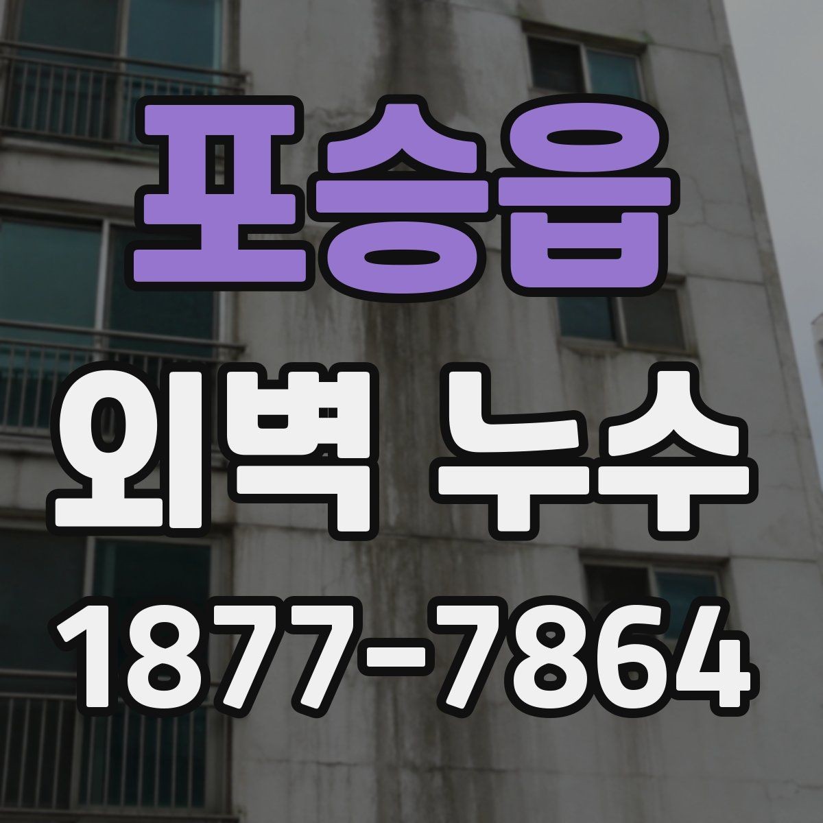 포승읍 외벽 누수 발생 아파트와 단독주택 점검 차이