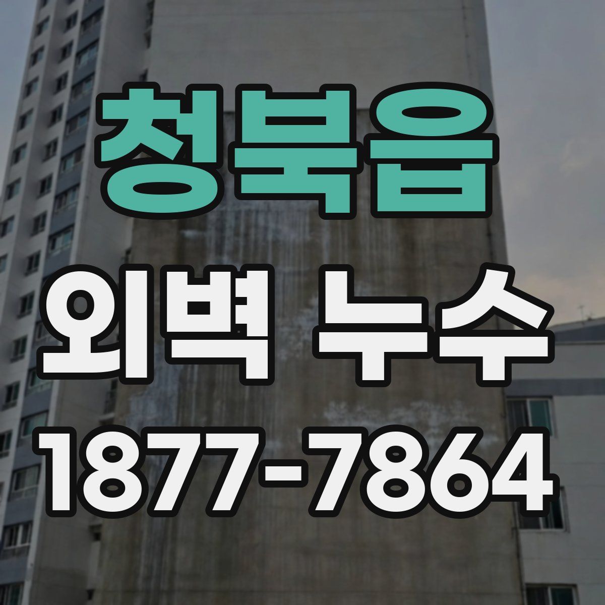 청북읍 외벽 누수