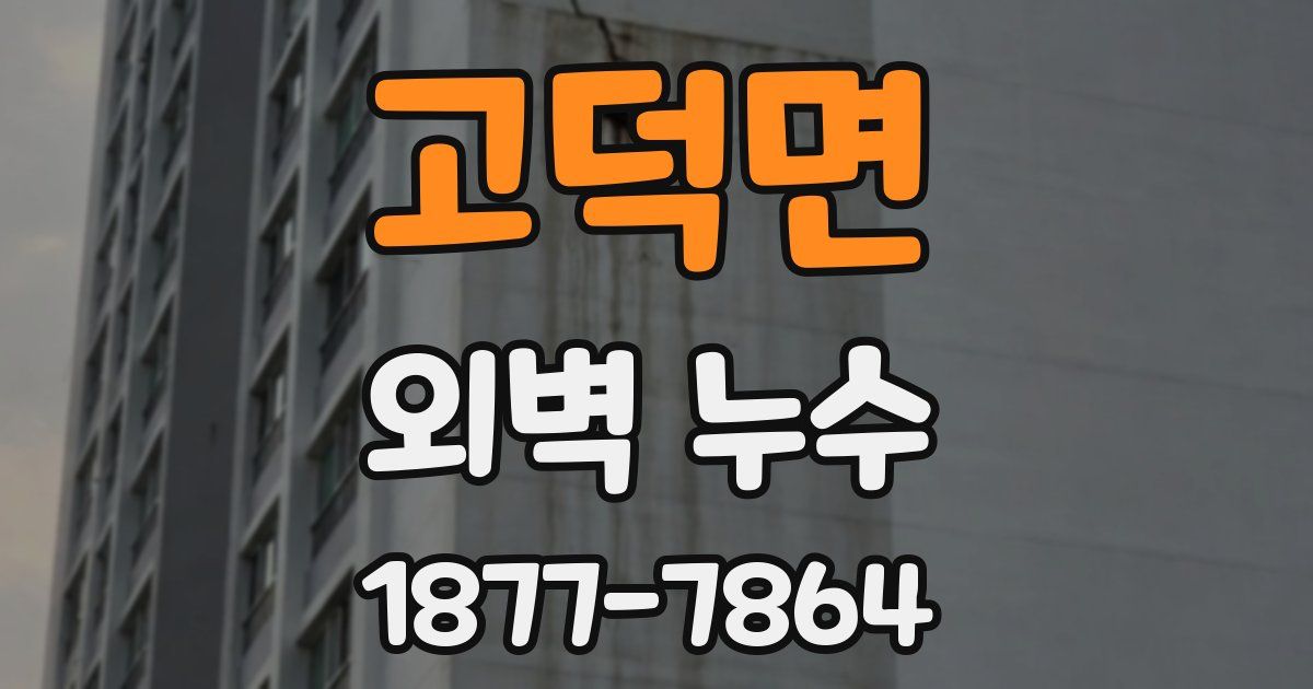 고덕면 외벽 누수
