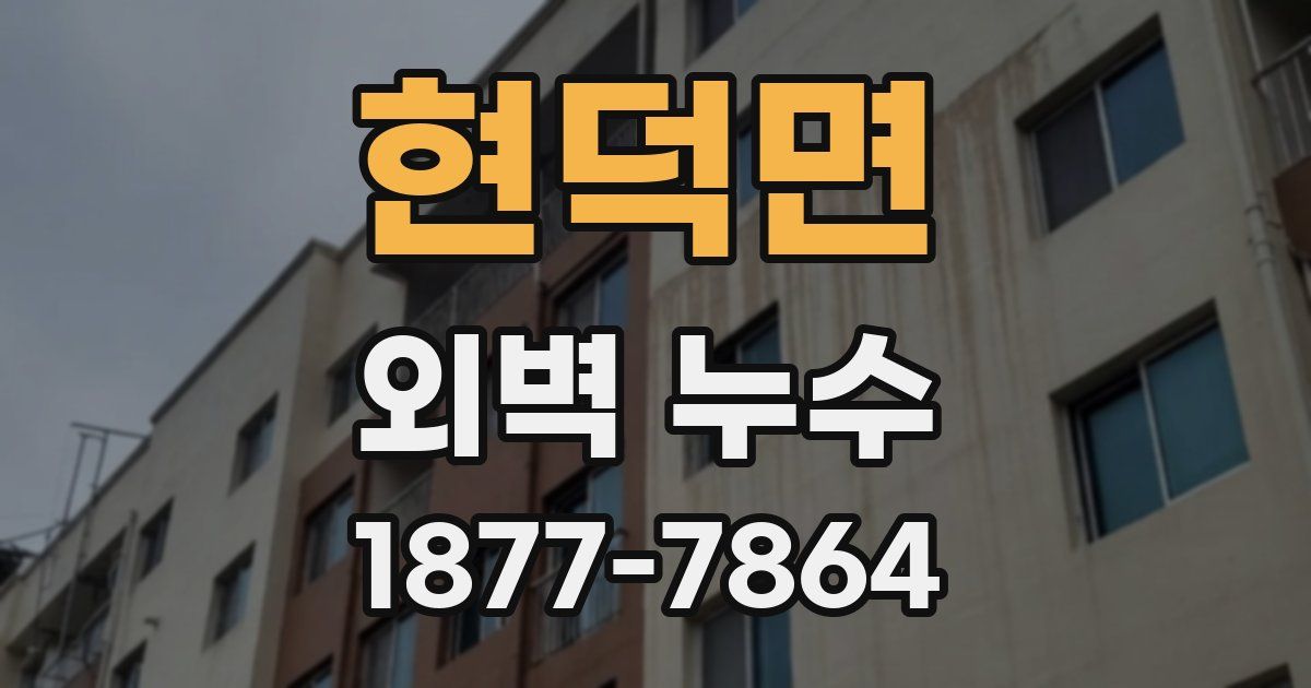 현덕면 외벽 누수