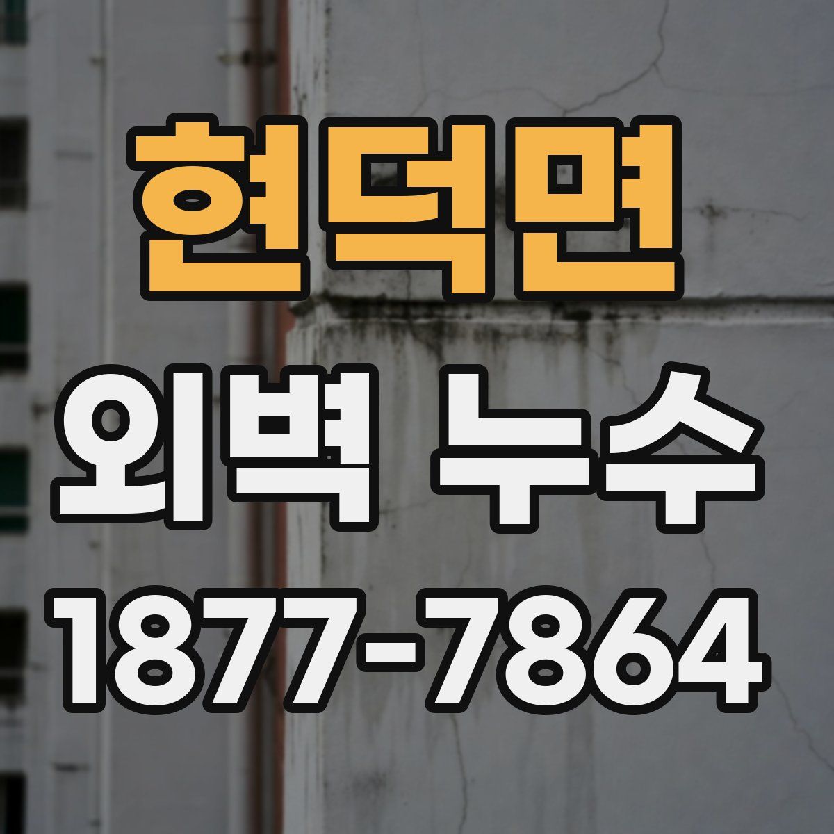 현덕면 외벽 누수