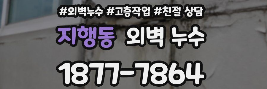 지행동 외벽 누수