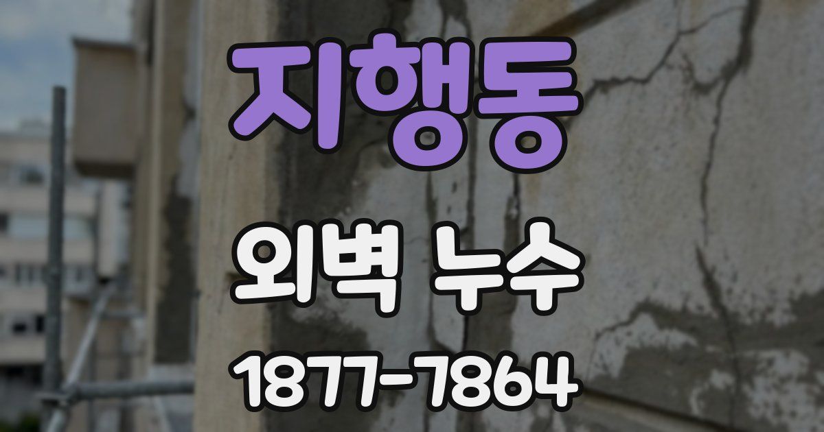 지행동 외벽 누수