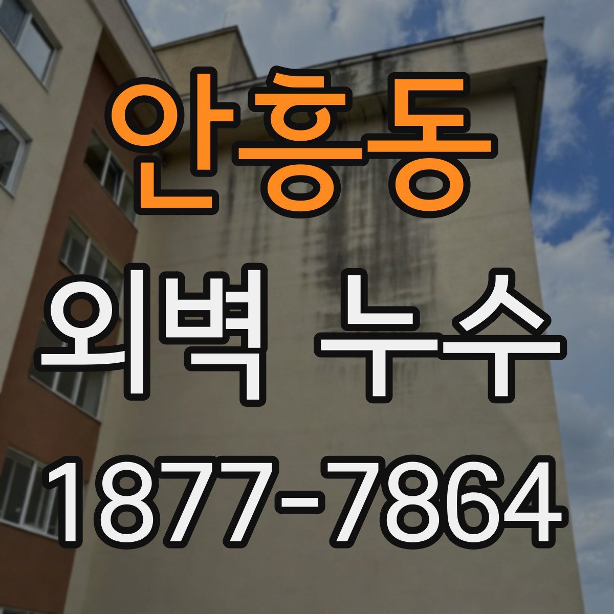 안흥동 외벽 누수