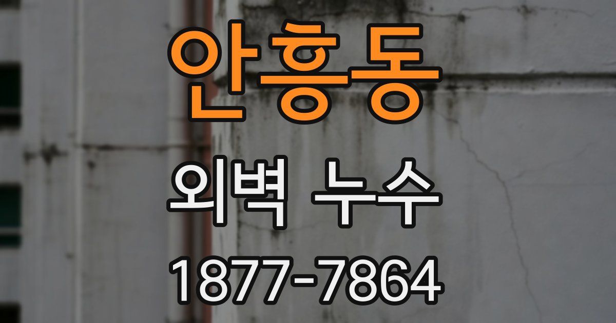 안흥동 외벽 누수