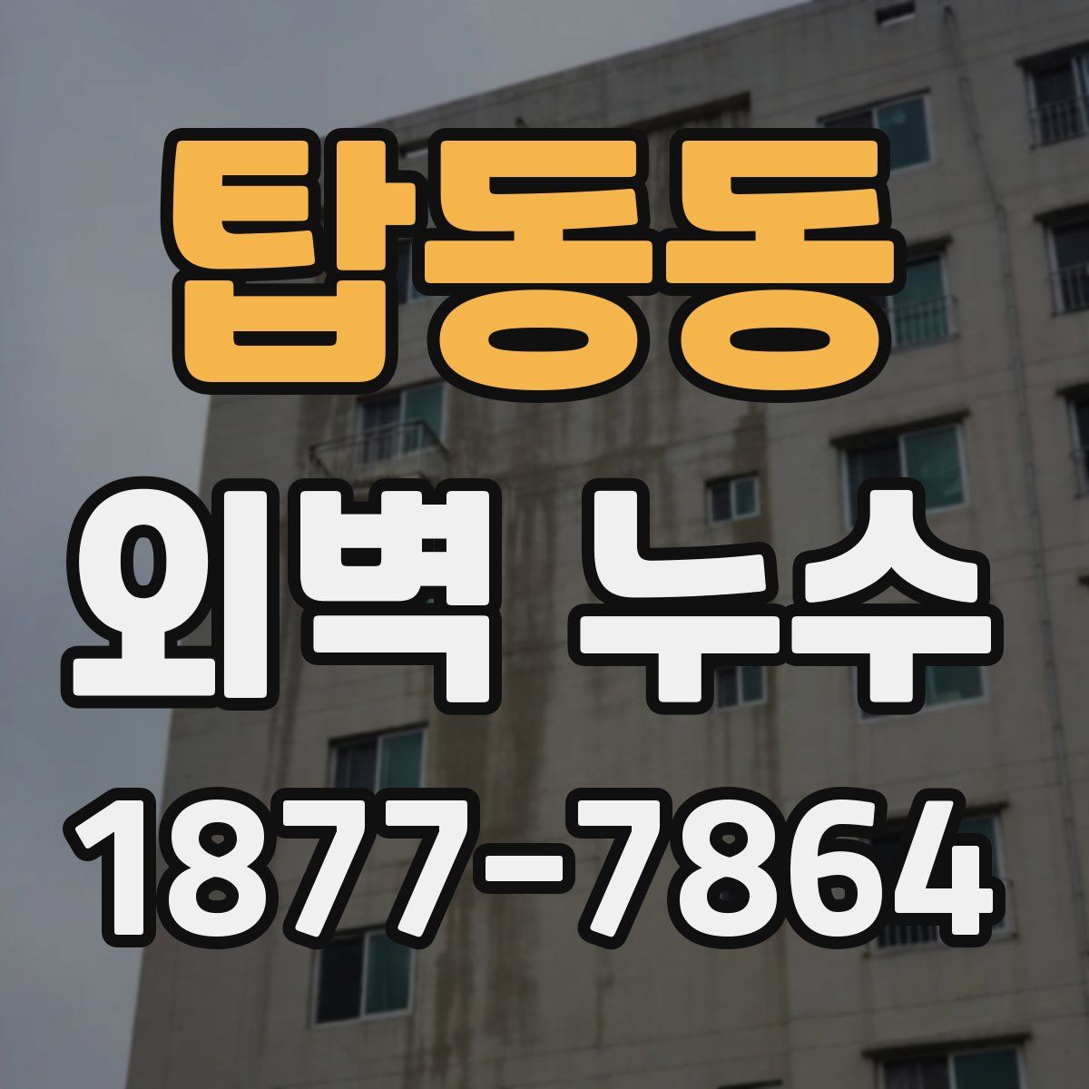 탑동동 외벽 누수