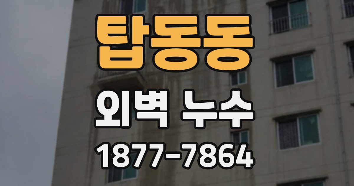 탑동동 외벽 누수