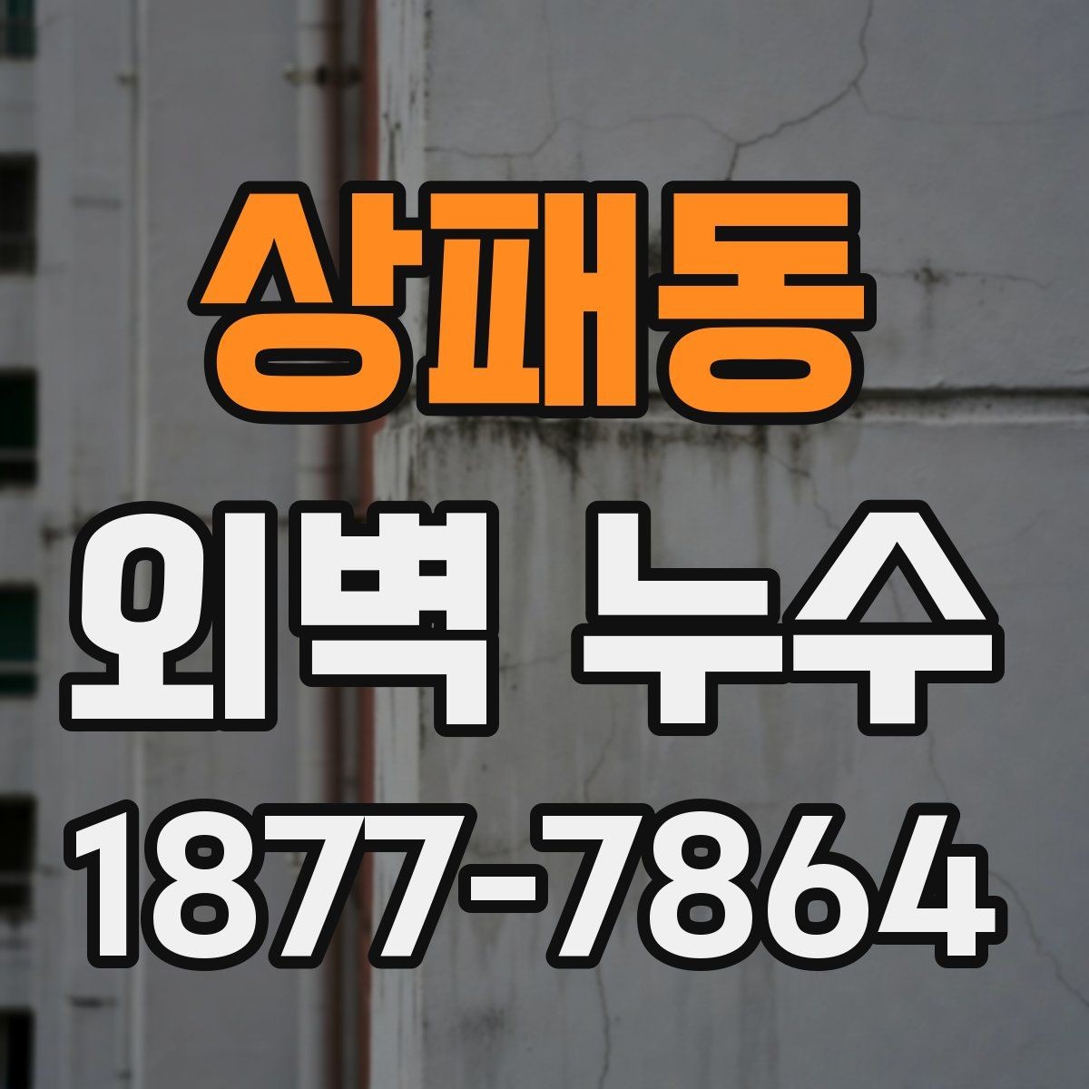상패동 외벽 누수 의심 시 전문가 상담 전 준비