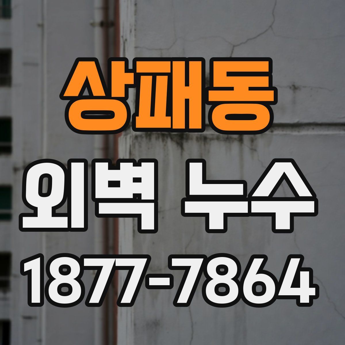상패동 외벽 누수