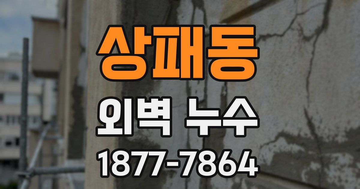 상패동 외벽 누수