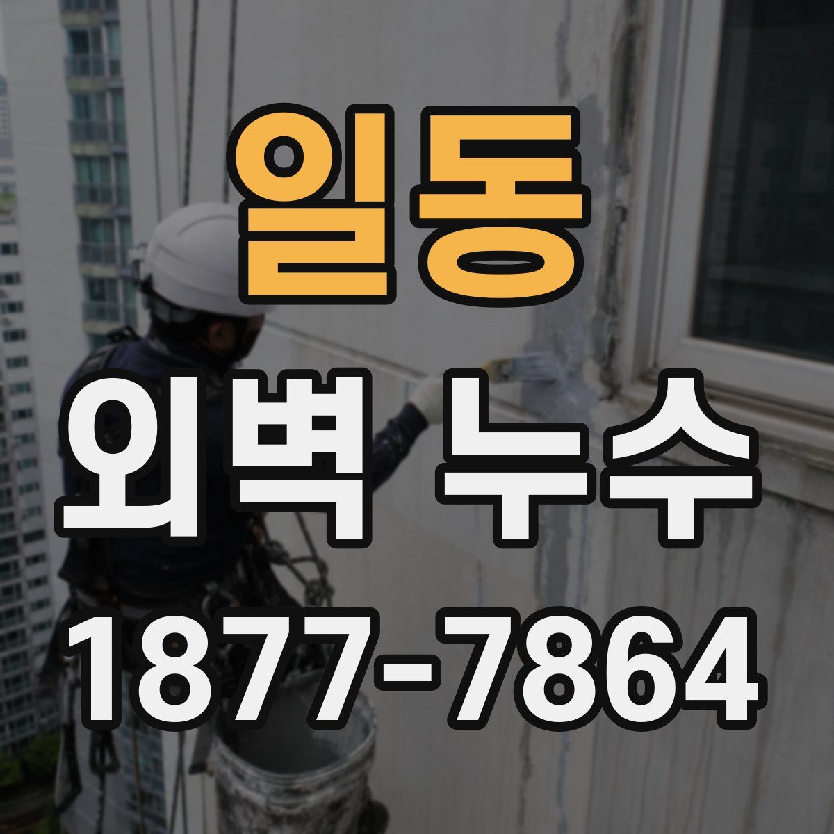 일동 외벽 누수