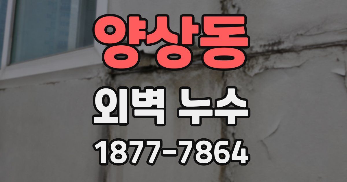 양상동 외벽 누수