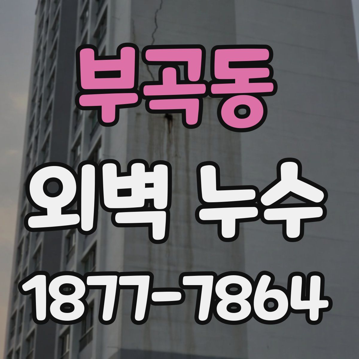 부곡동 외벽 누수