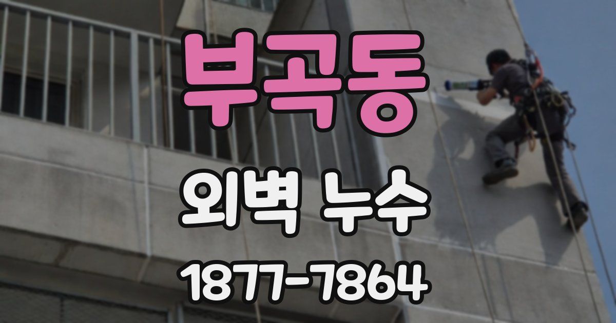 부곡동 외벽 누수