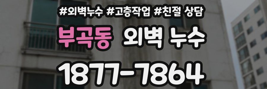 부곡동 외벽 누수