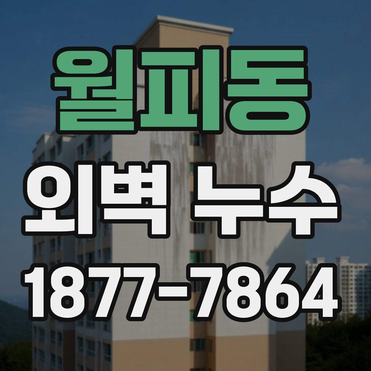 월피동 외벽 누수 원인별 점검 방법 정리