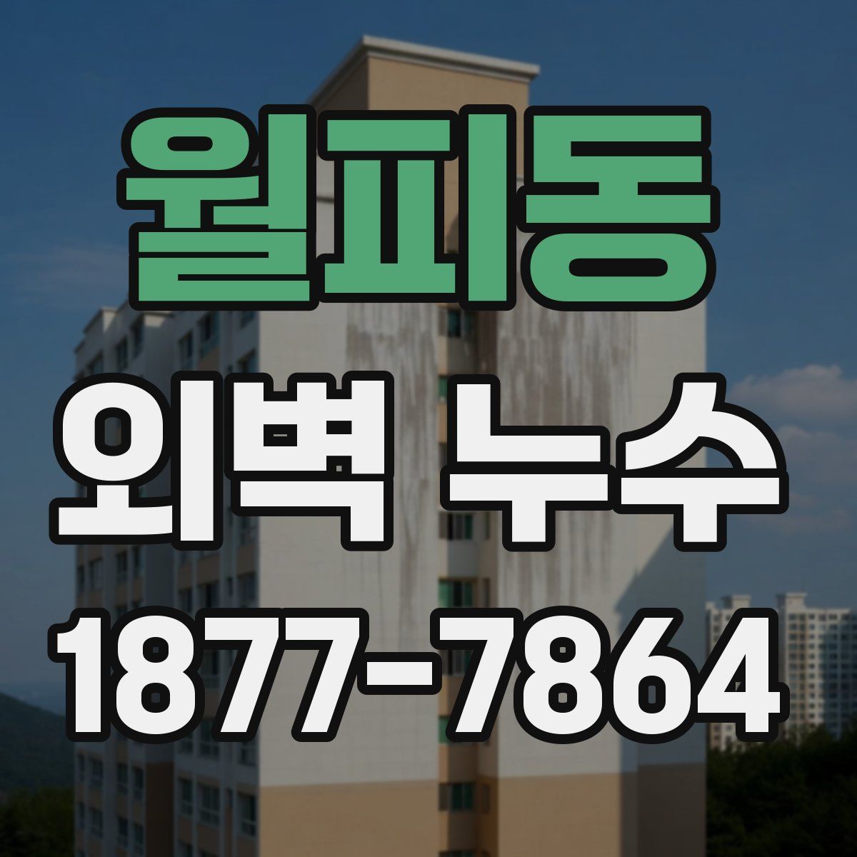 월피동 외벽 누수