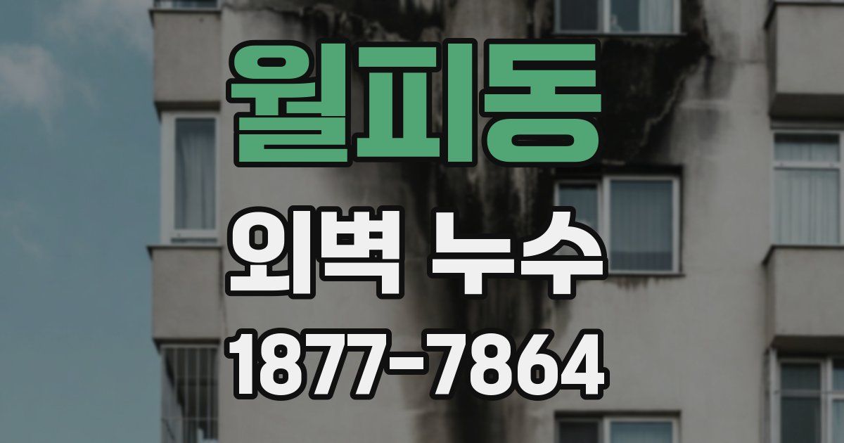월피동 외벽 누수