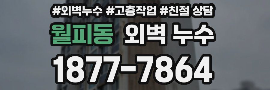 월피동 외벽 누수