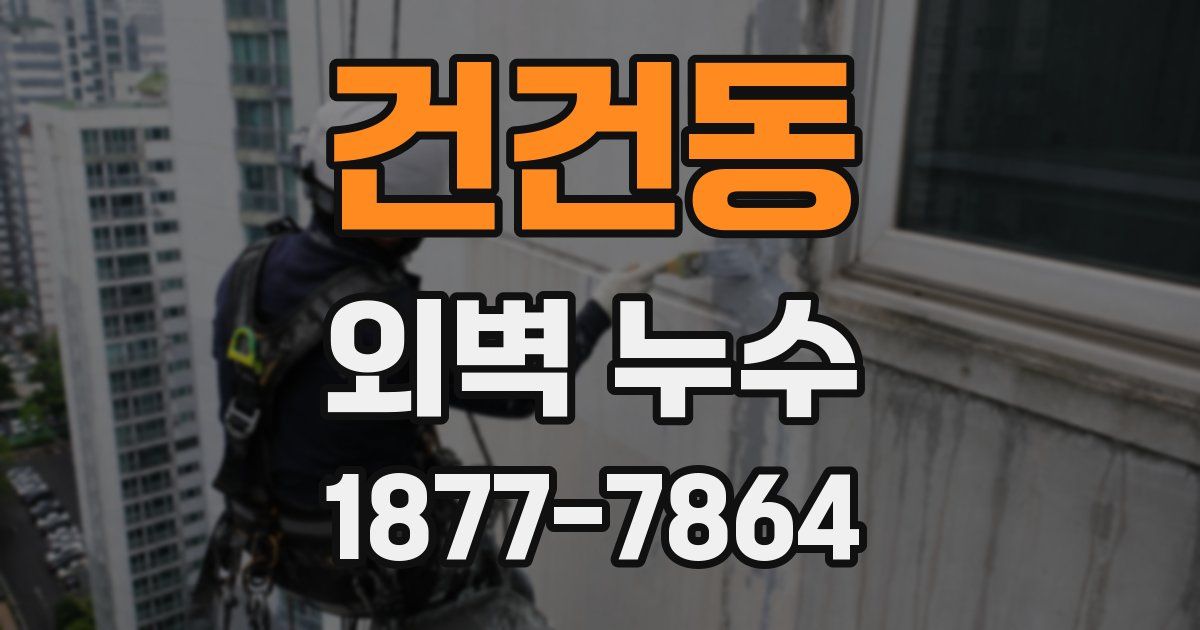 건건동 외벽 누수