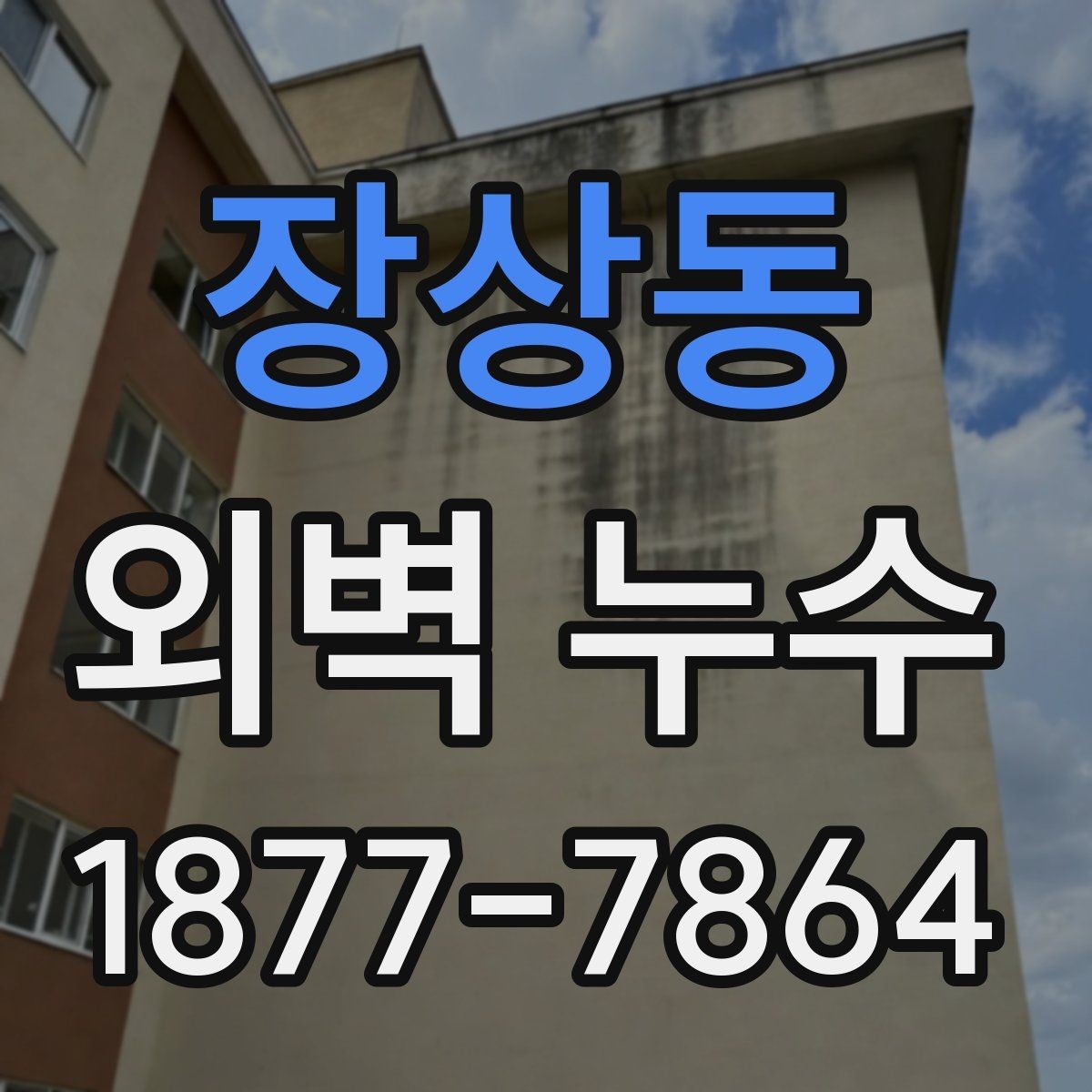 장상동 외벽 누수 진단과 보수의 기본 흐름