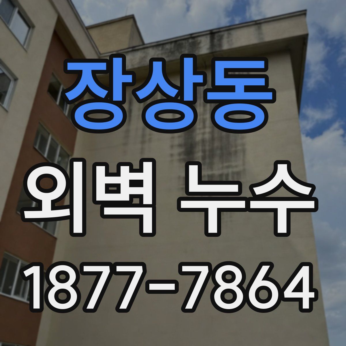 장상동 외벽 누수