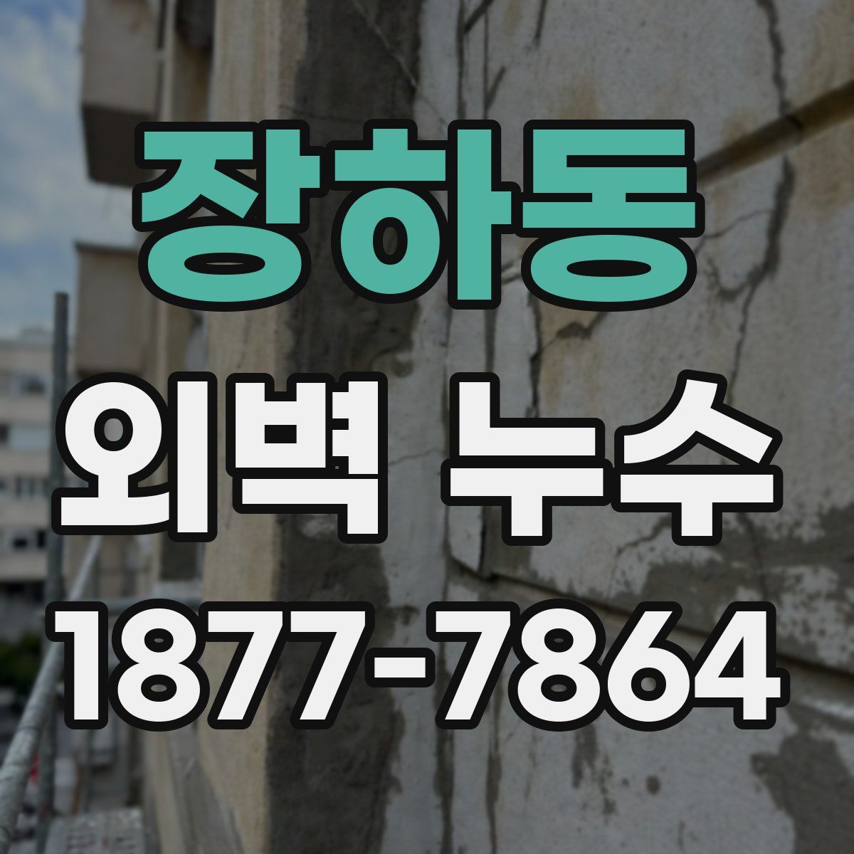 장하동 외벽 누수