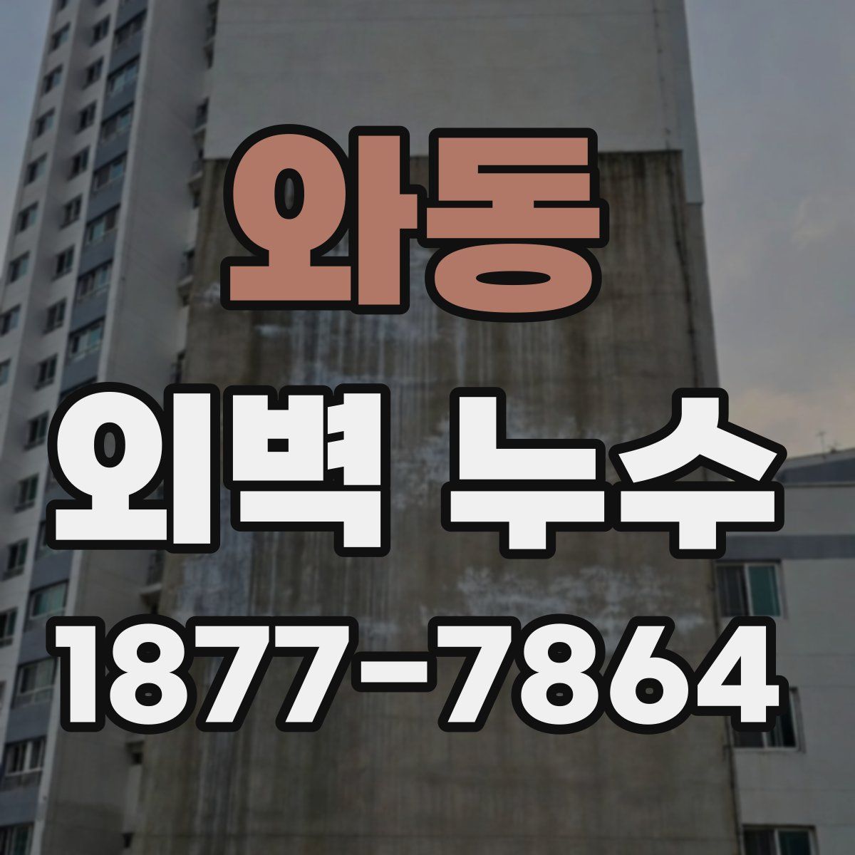 와동 외벽 누수