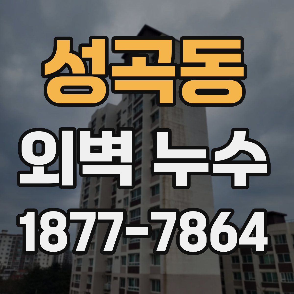 성곡동 외벽 누수