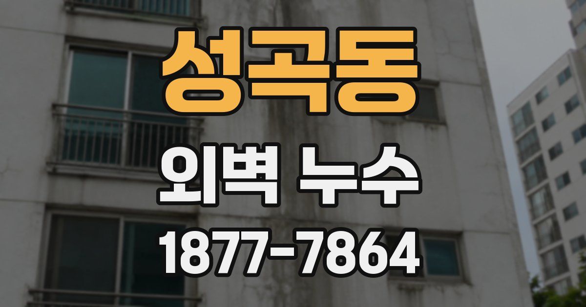 성곡동 외벽 누수