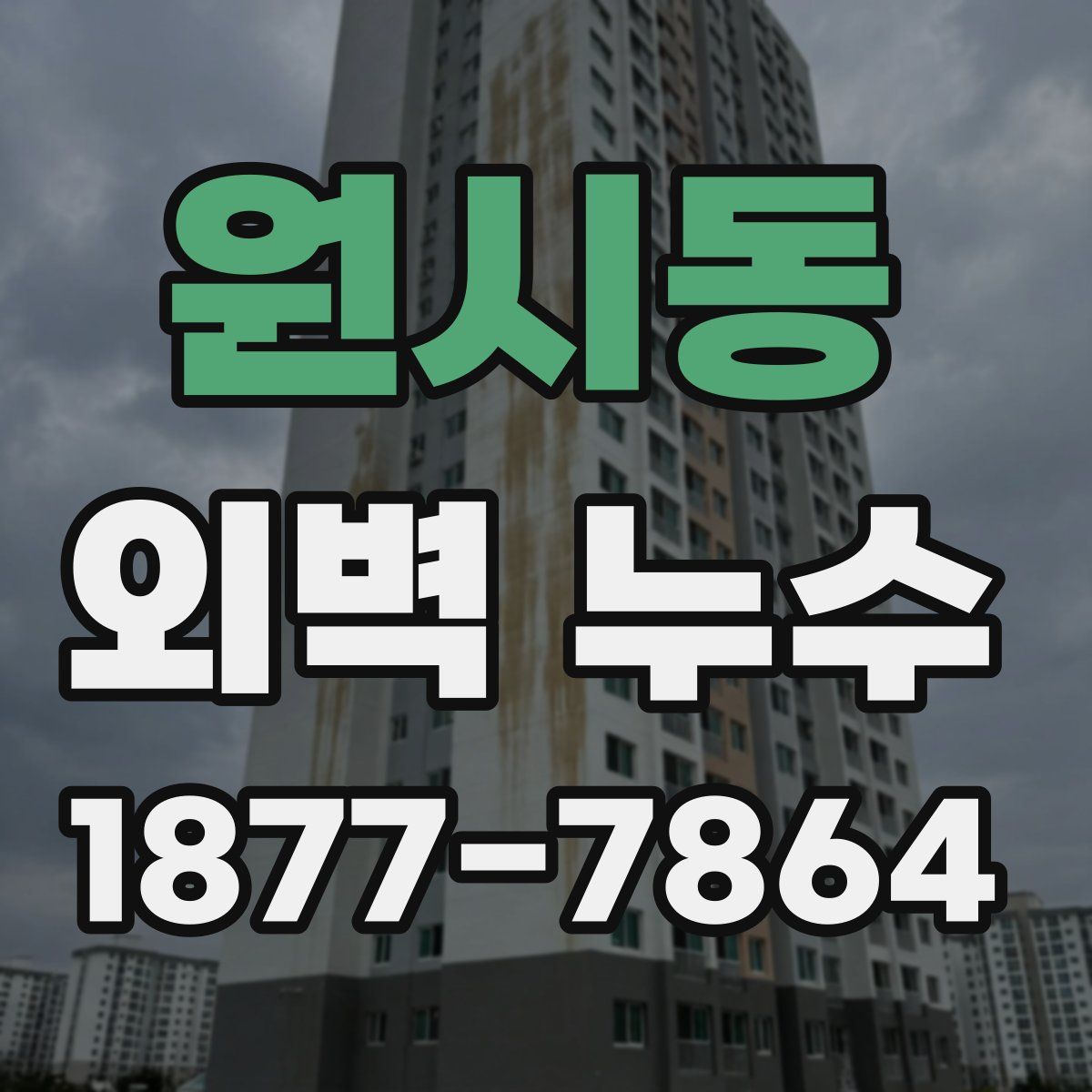원시동 외벽 누수
