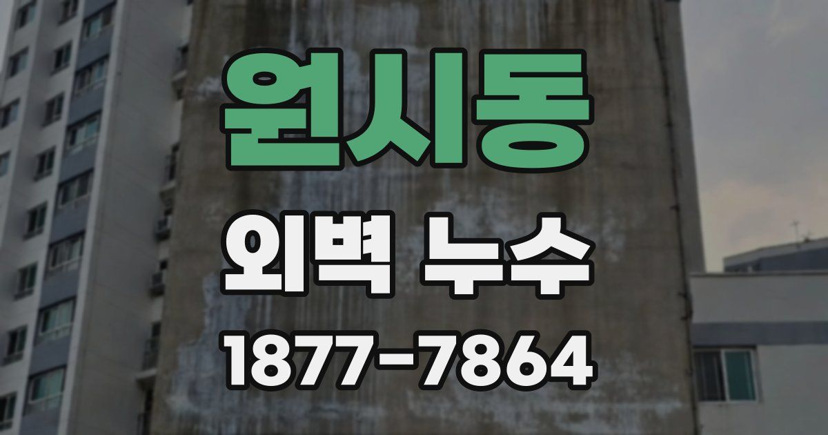 원시동 외벽 누수