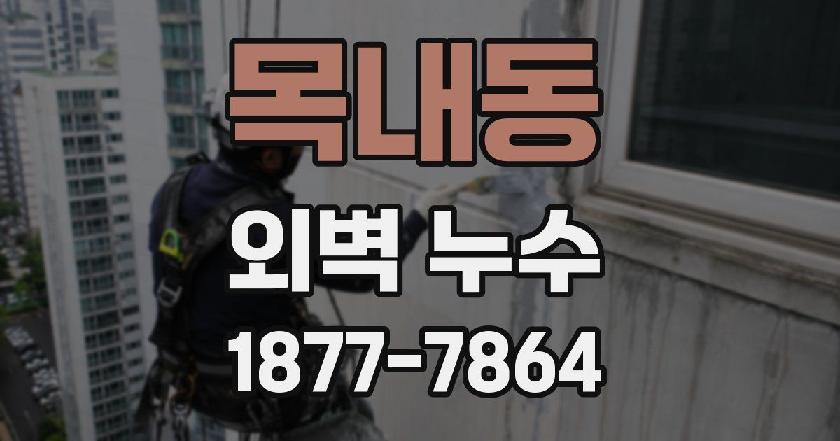 목내동 외벽 누수
