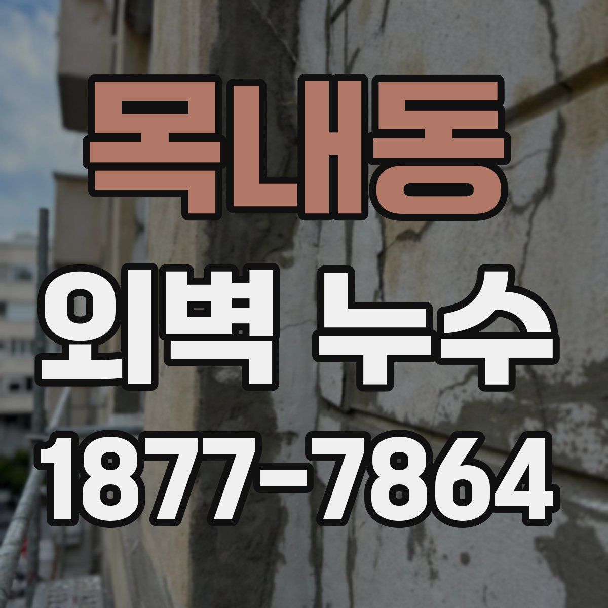목내동 외벽 누수