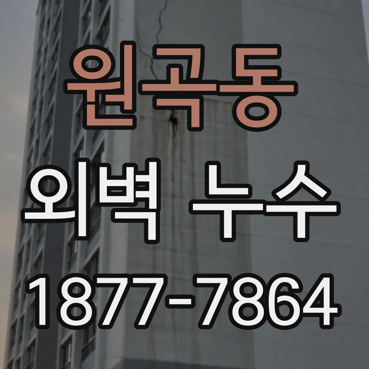 원곡동 외벽 누수