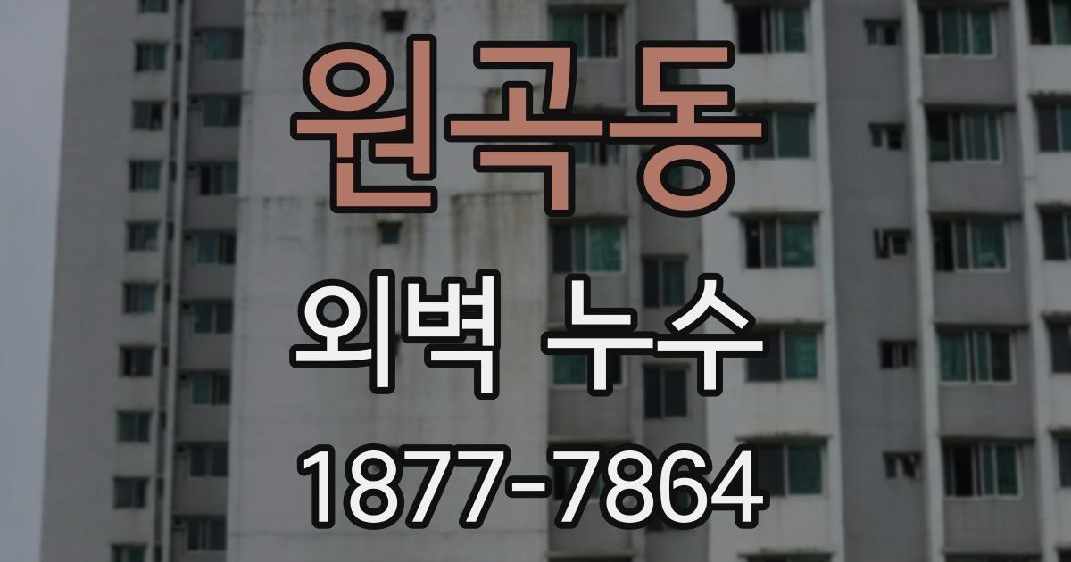 원곡동 외벽 누수