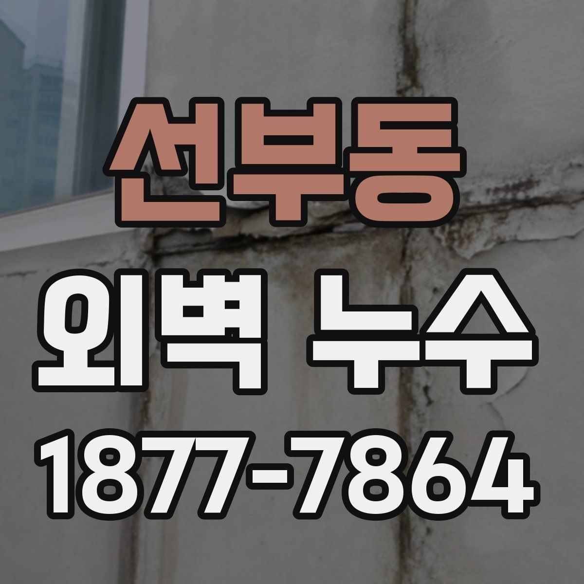 선부동 외벽 누수